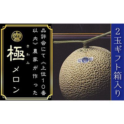 クラウンメロン（山等級）”極みメロン”　2玉入　ギフト箱入り 果物類 メロン青肉 フルーツ 