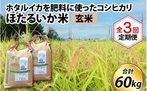 ほたるいか米（玄米20kg）×3回 計60kg【3ヶ月定期便】