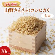 ★令和8年度産★山野さんちのコシヒカリ 10kg(玄米)｜米 お米 こめ こしひかり コシヒカリ 令和8年産 R8年産 新米 玄米 茨城県 行方市(BR-5-1)