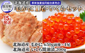 厚岸漁協イチオシ！【3D冷凍】北海道産 毛がに（約650g）1尾・いくら200gセット 毛カニ 蟹 毛蟹 魚卵 魚介類 魚介 