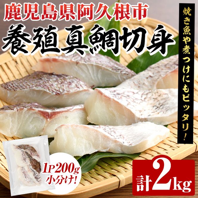 養殖真鯛切身(約2kg) 鹿児島県 阿久根市 たい タイ 真鯛 魚貝 魚介 海産物 切身 切り身 煮物 煮つけ 焼き魚 おかず おつまみ 小分け 【さるがく水産】akn028-47