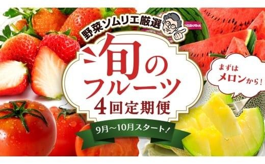 【 野菜ソムリエ 厳選 】 旬 の フルーツ 定期便 ( アールスメロン スタート ) 4回 先行予約 果物 いちご イチゴ 苺 とちおとめ やよいひめ かおり野 すいか 小玉スイカ ピノガール トマト フルーツトマト メロン アールスメロン 新鮮 おすすめ ソムリエ 野菜 [AF097ci]