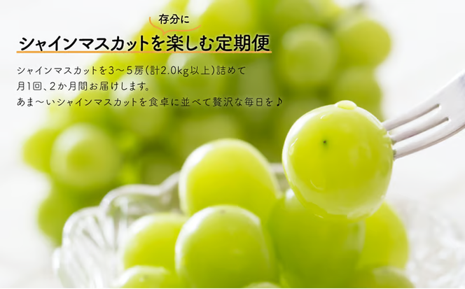 【2026年先行予約】岡山のシャインマスカットを楽しむ満足2回便！3-5房入×２回/全便計4.0kg~ (定期便)(岡山県産)【KF-T046-03】