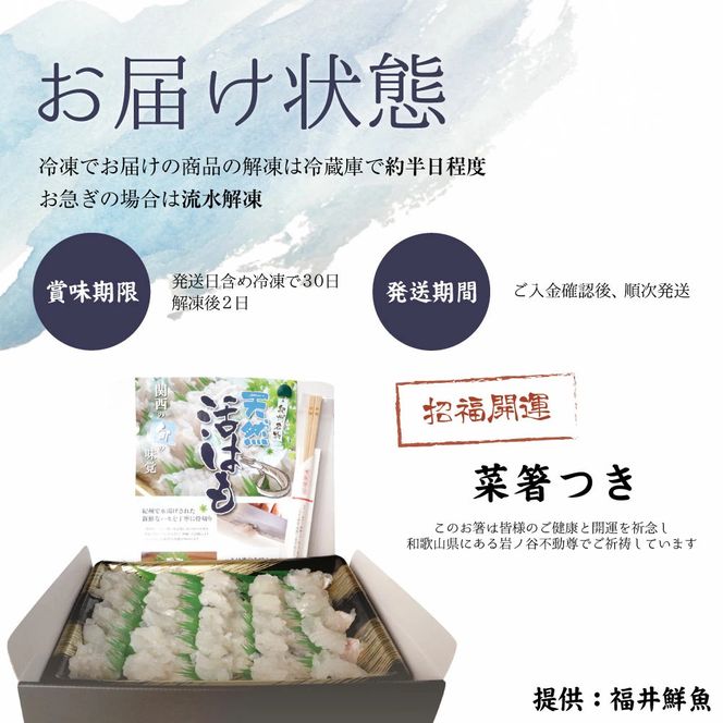 国産 活はも (骨切り済) 400g ( 3人前 ～ 4人前 )【天然 はも ハモ 鱧 鮮魚 皮付き 湯引き はもしゃぶ】_R6009
