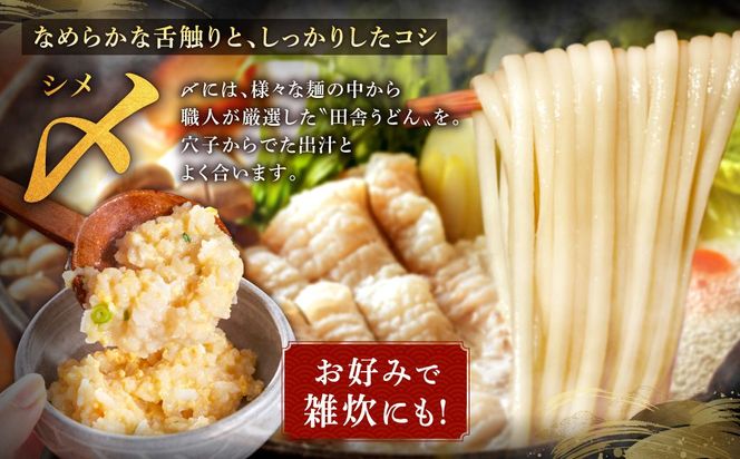 【鐘崎産天然穴子】国産天然穴子鍋セット(4〜6人前) 【魚住商店】_HA1994 海鮮鍋 穴子鍋 鐘崎産 あなご鍋 贅沢鍋セット お取り寄せ 福岡県宗像市 宗像市 福岡 宗像