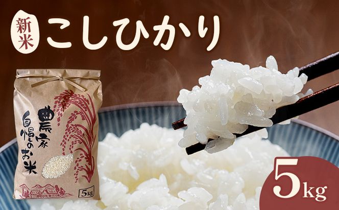 米 こしひかり5キロ(令和8年産) 若狭・天狗山農園 お米 こめ コメ 精米 ご飯 ごはん コシヒカリ 福井県 若狭町