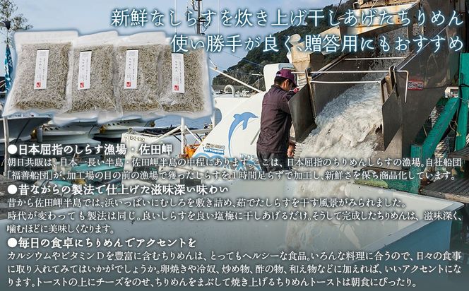 【網元直送・個包装】佐田岬ちりめん 80g×4パック ※離島への配送不可 IKTB030 