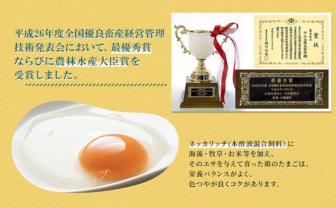 卵 赤玉 ネッカリッチ卵 50個入り 鶏卵 たまご 
