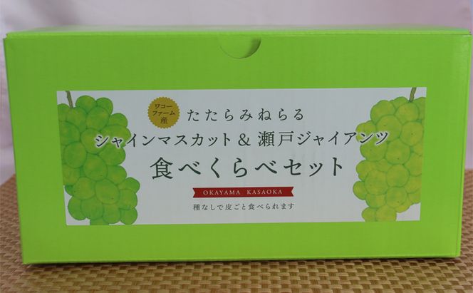 【2026年先行予約】 ぶどう 岡山県産 たたらみねらる シャインマスカット & 瀬戸ジャイアンツ 食べ比べセット 各1房(1房約650g) 《2026年9月中旬-10月中旬頃出荷》 ブドウ フルーツ 果物 数量限定