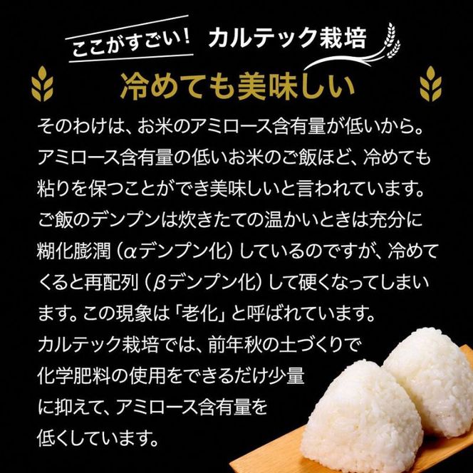 令和7年産 京都丹波産 コシヒカリ 5kg 西村ファーム 京ほたる米