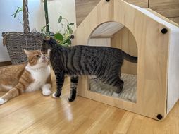 【リアルダウン使用】羽毛ペットベッド（ハウスタイプ） 天然鉱石配合で快適！ 犬や猫が大好き!! H162-051