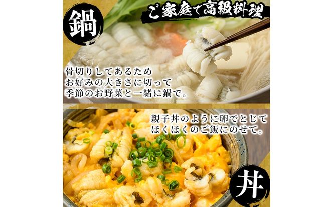 鱧づくしセット(骨切り白鱧×400g、鱧フライ×250g、鱧一夜干し×150g) はも ハモ 骨切り 唐揚げ 海鮮 魚介 おつまみ 惣菜 簡単 お手軽 冷凍 食べ比べ 詰め合わせ 詰合せ 国産 宮崎県産 【門川漁業協同組合】【O-9】