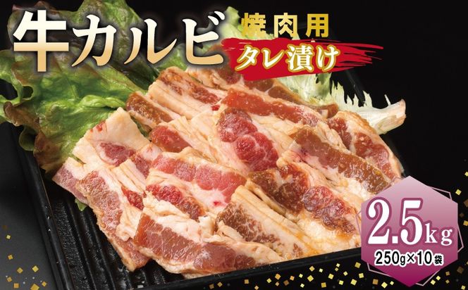 y{򍲖szG3394 Jr ēp ^Ђ v2.5kgyt  Ă ȒP BBQ  250g×10܁z