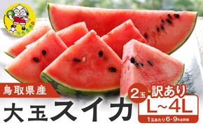 【先行予約】鳥取県北栄町産 大玉スイカ 訳あり(2玉セット)１玉あたり6-9キロ前後L-4L（こちらの返礼品は、大栄西瓜ではありません） 313726_CK008