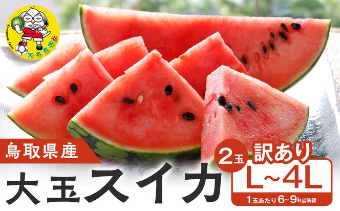 【先行予約】鳥取県北栄町産 大玉スイカ 訳あり(2玉セット)１玉あたり6-9キロ前後L-4L（こちらの返礼品は、大栄西瓜ではありません） 313726_CK008