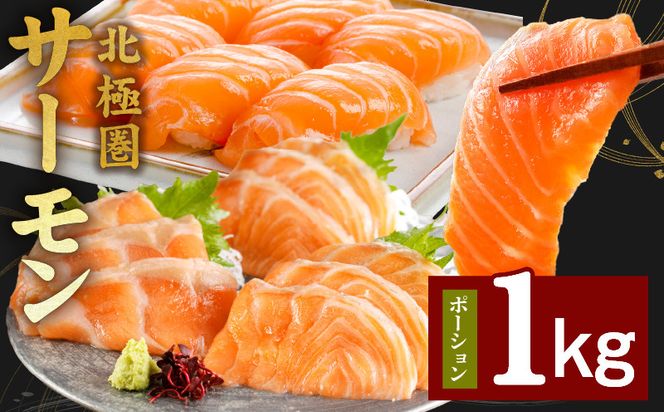 y{򍲖sz015B288 kɌT[ |[V 1kgy  CN lC IXX  Ⓚ ȒP l炵z