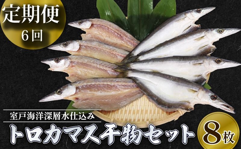 魚 トロ カマス 干物 6回定期便(毎月8枚)[ 室戸市 産]海洋深層水仕込み 国産 ひもの 冷凍便 でお届け 贈答 にも最適