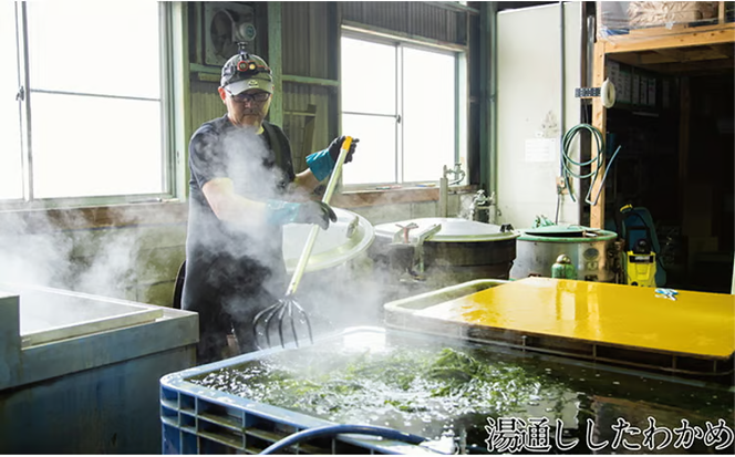 瀬戸内で採れた島磯香る わかめ 22g×9袋と ひじき 28g×9袋 セット【岡山 瀬戸内海 鉄釜炊 天然】 [№5735-1290]