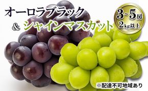 【2026年先行予約】 ご家庭用 ぶどう 岡山県産オーロラブラック＆シャインマスカット 3～5房（2kg以上) 《2026年7月下旬-8月下旬頃出荷》 葡萄 ブドウ フルーツ 果物 スイーツ 数量限定 期間限定 里庄町 リアム farm