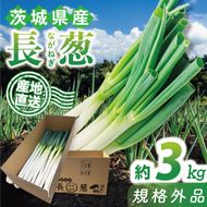 【訳あり】 河野農園 新鮮 長ねぎ ( 規格外 ) 約3kg｜ねぎ 野菜 茨城県 行方市(HW-1)