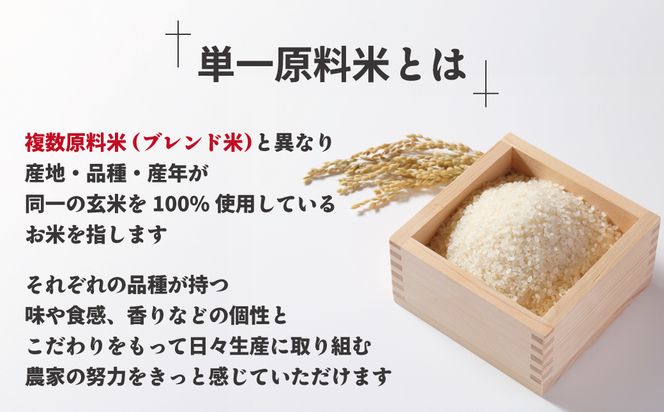 令和7年産 新米先行予約！【定期便/年6回】「元気つくし」10kg【ほたるの里】_HB0206