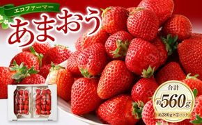 【2026年3月発送】エコファーマー あまおう 約280g×2パック 計560g / いちご 苺 イチゴ ベリー 果物 フルーツ お取り寄せ デザート おやつ