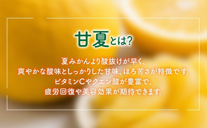 【先行予約】家庭用　甘夏3kg　※2027年3月中旬より順次発送予定 IKTAT017