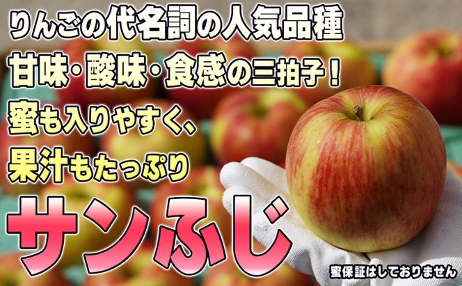3月発送【糖度保証】家庭用 葉取らず サンふじ 約10kg【訳あり】【鶴翔りんごGAP部会 青森県産 津軽産 リンゴ 林檎】 果物 希少 完熟 JGAP認証 安心 丸かじり 甘い 高糖度 