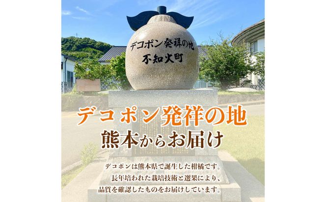 【先行予約】 デコポン 約5kg (12～24玉) でこぽん 不知火 みかん 蜜柑 柑橘 果物 フルーツ 旬 熊本県 八代市【2026年12月上旬より順次発送】