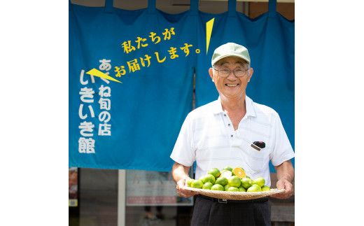 期間限定！鹿児島県産ラッキョウ使用！塩らっきょうの漬け物(400g×3袋・計1.2kg)国産 九州産 鹿児島産 おつまみ 漬物 辣韭【あくね旬の店いきいき館】akn015-06