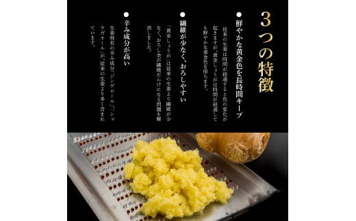 【CF-R7hbk】SNS002　高知県産黄金しょうが4kg - しょうが ショウガ 生姜 坂田信夫商店 黄金しょうが 高知 国産 生姜焼き しょうが湯 ふるさとのうぜい 故郷納税 15000円 返礼品 高知県産