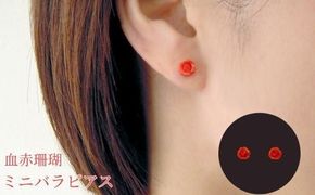 珊瑚 血赤珊瑚 ミニバラ ピアス K10イエローゴールド 天然サンゴ 一点物 アクセアクセサリー 厄除け お守り クリスマス バレンタイン 誕生日プレゼント 記念日 ホワイトデー ジュエリー 大人可愛い ギフト さんご サンゴ 高知県室戸市
