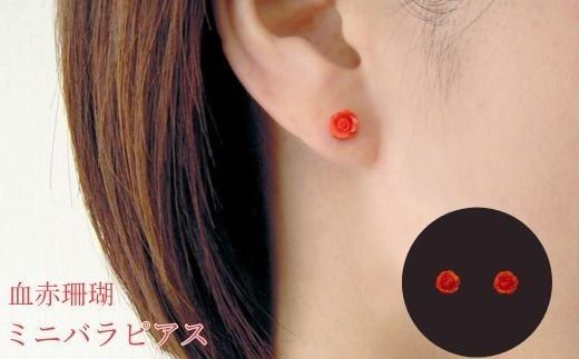 �y���m�����ˎs�z�X�� ���ԎX�� �~�j�o�� �s�A�X K10�C�G���[�S�[���h �V�R�T���S ��_�� �A�N�Z�A�N�Z�T���[ ��� ����� �N���X�}�X �o�����^�C�� �a�����v���[���g �L�O�� �z���C�g�f�[ �W���G���[ ��l���� �M�t�g ���� �T���S ���m�����ˎs