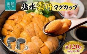 塩水ウニマグカップ 合計 120g 60g × 2本 ウニ 塩水ウニ 海鮮 魚介 食感 なめらか 和風 洋風 多彩 レシピ 海鮮丼 寿司 パスタ リゾット 珍味 うに丼 酒の肴 おつまみ 冷蔵 贈答 お祝い プレゼント用 ギフト お中元 御中元 お歳暮 弘成 北海道 函館市_HD214-002