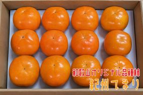 紀州てまり L～4Lサイズ 約7.5kg 【和歌山オリジナル品種柿】 / かき 柿 カキ フルーツ 果物 くだもの ※2026年11月上旬～下旬頃発送予定 ※沖縄・その他離島への配送不可【ard504-r-tema-7d5A】