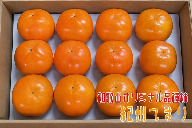 紀州てまり L～4Lサイズ 約7.5kg 【和歌山オリジナル品種柿】 / かき 柿 カキ フルーツ 果物 くだもの ※2026年11月上旬～下旬頃発送予定 ※沖縄・その他離島への配送不可【ard504-r-tema-7d5A】
