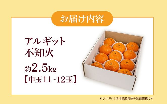アルギット 不知火 約2.5kg 中玉 サイズ（11～12玉）| 先行予約 不知火 デコ みかん 甘い おいしい ジューシー 完熟 期間限定 数量限定 フルーツ 果物 柑橘 人気 おすすめ 高級 こだわり ギフト 旬 お取り寄せ 送料無料 和歌山 有田川町    DT015