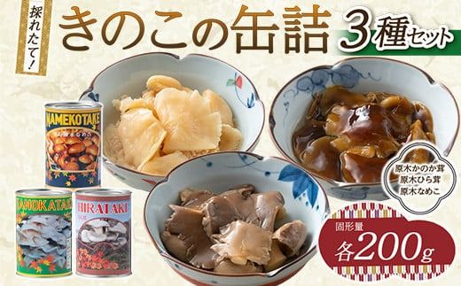 FYN6-441 きのこの缶詰３種セット（原木ひら茸・原木かのか・原木なめこ）（400g×3種） 水煮 加工食品 山形県 西川町