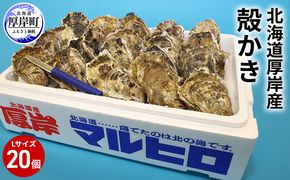 厚岸産 殻かき L20個セット 北海道 牡蠣 カキ かき  生牡蠣 殻付 魚貝類 マルえもん