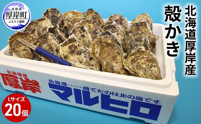 厚岸産 殻かき L20個セット 北海道 牡蠣 カキ かき  生牡蠣 殻付 魚貝類 マルえもん