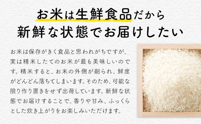 白米 訳あり 米 コメ こめ  晴れの国おかやま白米 選べる 5kg 10kg 20kg お届け回数 1回 3回 6回12回 定期便《出荷時期をお選びください》---kasaoka_zsy_444_5---