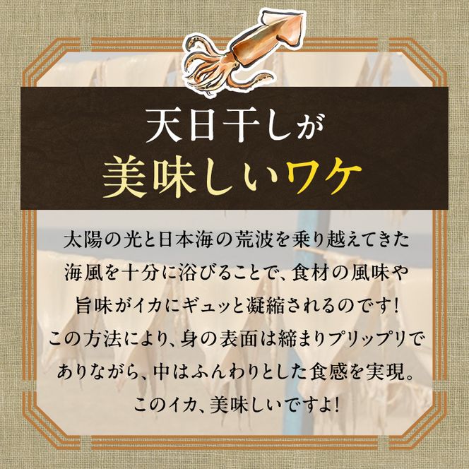 イカ 青森県産 一本釣りいか 使用 鰺ヶ沢 名物 天日生干しイカ セット （900g以上4枚～6枚入り） いか 干物 干物セット 国産 するめ スルメ スルメイカ 海鮮 魚介類 魚介 海産物 ※ ご入金確認後 3ヶ月以内の発送になります。 青森県鰺ヶ沢町 