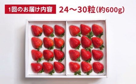 【全2回定期便】【2023年12月上旬より発送】糸島産 あまおう ギフト 箱 毎月600g ( 24-30粒 )糸島市 / 南国フルーツ株式会社 [AIK028]