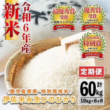 H4-01 ＜先行予約受付中！2024年10月中旬から順次発送＞【定期便】令和6年産 新米 特別栽培米 伊佐米永池ひのひかり(計60kg・10kg×6ヶ月)鹿児島でも極良食味のお米が出来る永池地区で作ったお米！九州米サミット食味コンテスト最優秀賞を2回受賞【エコファーム永池】