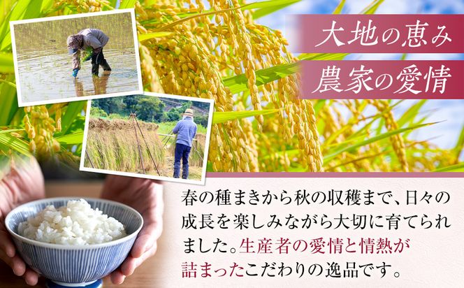 和歌山県産 米 キヌヒカリ 10kg  (2025年産)［SL28］ 303446_CG90020
