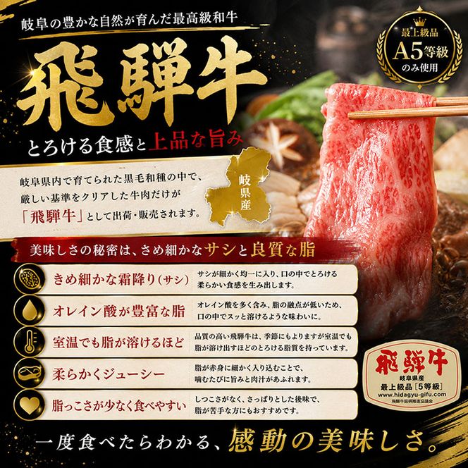 飛騨牛 牛肉 切り落とし 500g×4 計2kg A5 和牛 焼肉 もも肉 モモ バラ カルビ お肉 ブランド和牛 