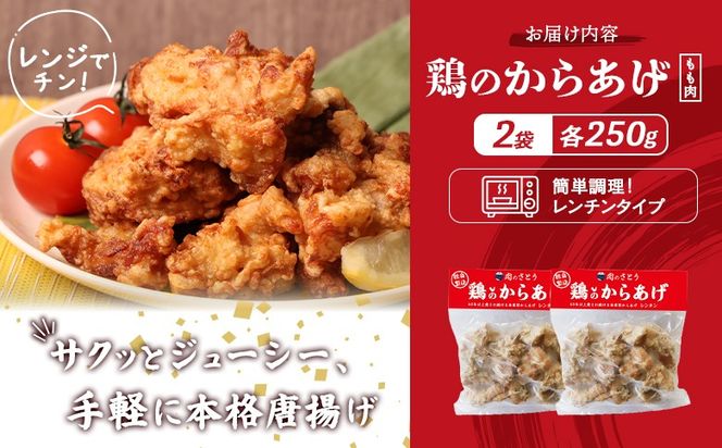 【レンジで簡単】鶏のからあげ もも肉500g（250g×2パック）【3500302】