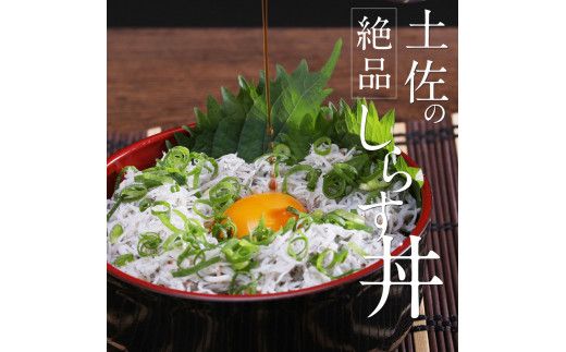 【CF-R7hbk】MMK009　訳あり 釜揚げしらす 1kg しらす シラス 釜揚げ 新鮮 塩分控えめ 赤ちゃん 子供 離乳食 わけあり ワケあり 不揃い しらす丼 海鮮丼 お茶漬け ごはん 冷凍配送 海鮮