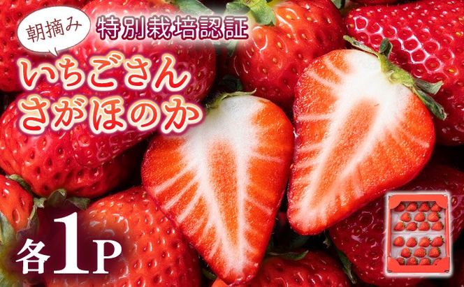 yꌧzys\zʌ 񁕂ق̂Hה׃Zbg 蕨ɂœK