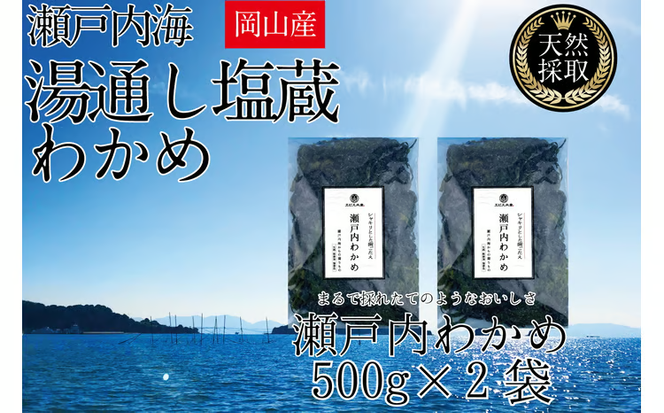 湯通し塩蔵 瀬戸内 わかめ 500g×2袋【岡山 瀬戸内海 天然 塩蔵】 [№5735-1280]